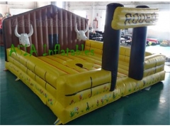 Rodeo Bull